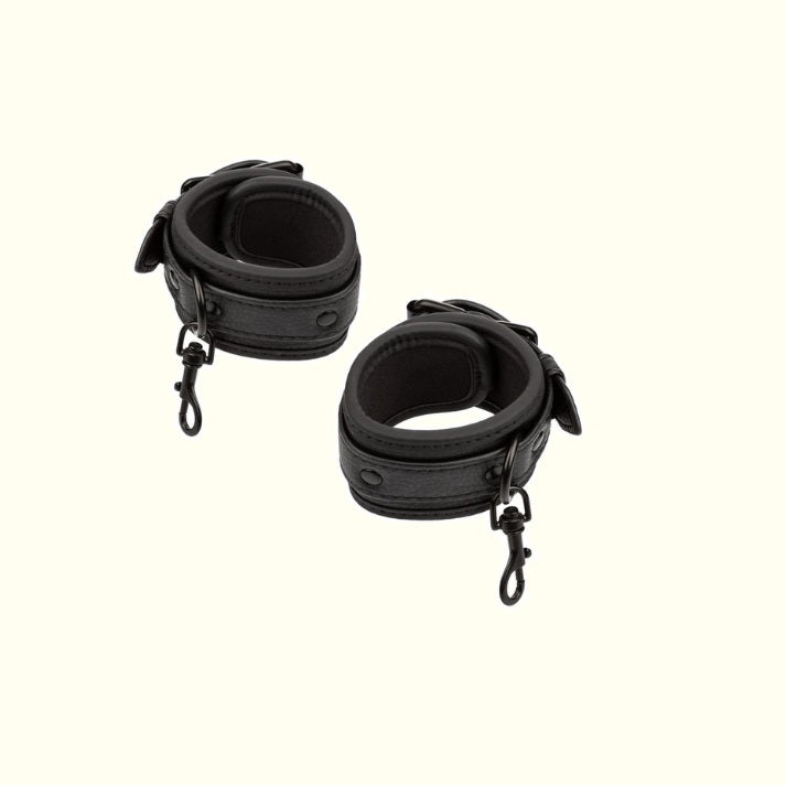 Bed Restraints