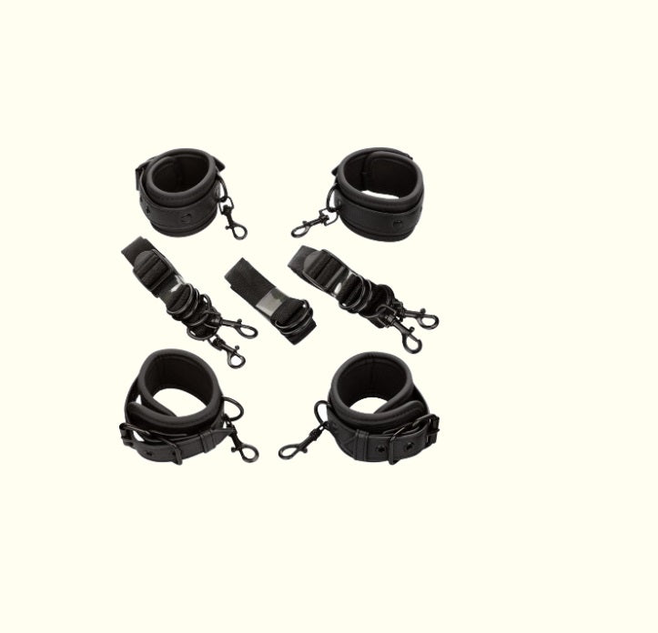 Bed Restraints